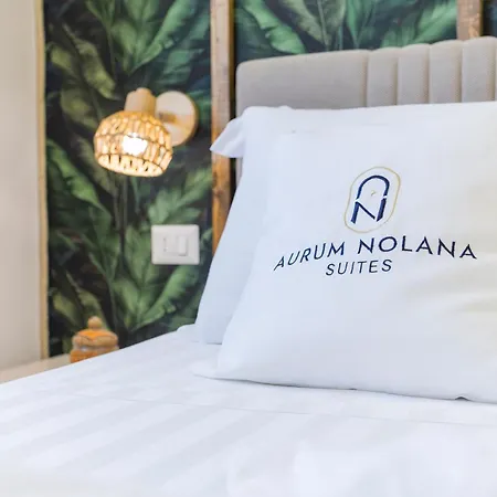 Guest house Aurum Nolana 3*