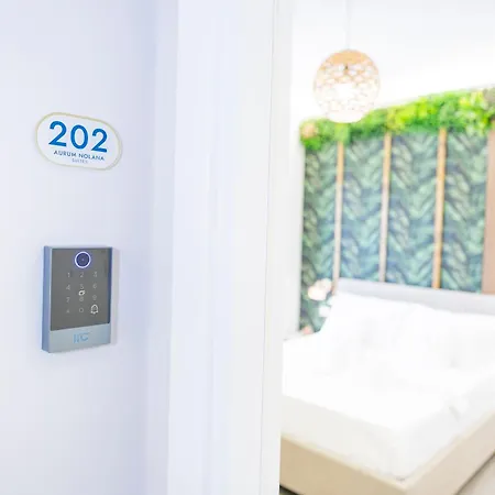 Aurum Nolana Guest house 3*